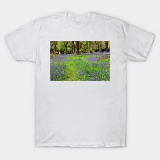 Bluebell Woods Basildon Park Berkshire UK T-Shirt